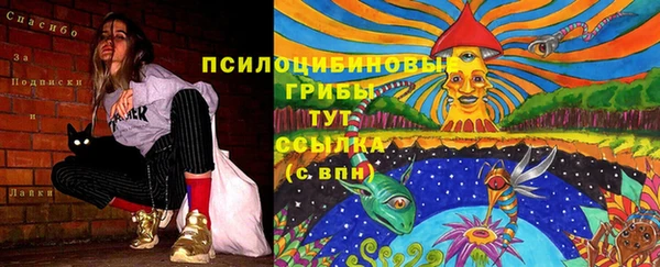 mdpv Алзамай
